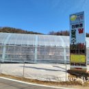 양평 딸기체험농장 +들꽃수목원 아이와 가볼만한곳