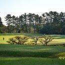 골프존카운티오라 (대중형 18홀) | 골프존카운티 오라 제주cc 제주공항 근처 인기 골프장 예약 후기