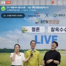 멜론토끼