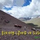 콩마루 이미지