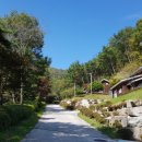 산삼자연휴양림 이미지