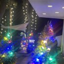 바다소리별채 | 부산 웨이브온 카페 별채 이용방법 및 후기 (+해맞이 예약방법!!)