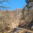 방터 | 소백산자락길 6자락(보발재-온달산성-영춘면사무소)과 잔도길 여행기록