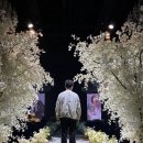 상상리허설 | [W-24] 👰‍♀️본식 D-2, 전주 그랜드힐스턴 웨딩홀 최종 리허설 후기 (식순/BGM/동선 체크 필수!✨)