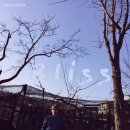 빅라이트