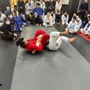 라이온체육관 이미지