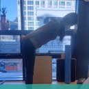 케어무브 | 사당역헬스장 무브케어랩퍼스널트레이닝 첫 방문 시 무료 근기능 검사 제공