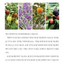 노영순농장 이미지