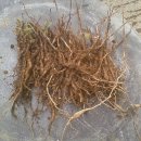 창암농장 이미지