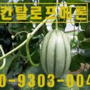 김성곤농장 이미지