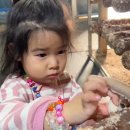 다올농원 이미지