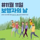 11월11일