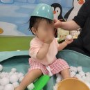 에이비씨(ABC)동물병원 | 진주 문화센터 우주문화아카데미 2025 봄학기 신규강좌 I 유니크아 지니쌤 수강후기
