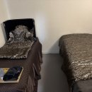 최성희SB발란스앤라인 이미지