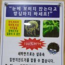 워시프렌즈셀프빨래방양천구 이미지