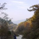 수도녹색숲모티길 이미지