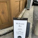[부산 광안] 광안리 반려견 동반 카페 ‘에이콘커피하우스(Acron coffee house)’