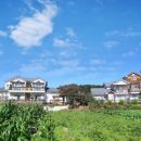 다섯개의달 이미지