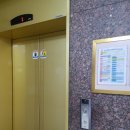 자성로141번길 | [반려동물 스튜디오] 부산 교감 스튜디오 후기 (feat. 터키쉬앙고라 오드아이 유럽이의 첫 프로필)