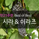 롯데와인신세계강남점 이미지