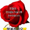 그리움 더하기 보고품 이미지