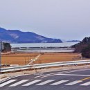사천대교 부근