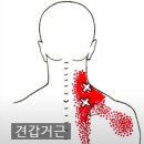 다함케어 이미지