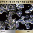 유마인전신좌훈대구