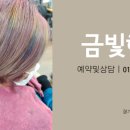 금빛미용실 이미지