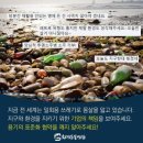 이즈시스템(주) 이미지