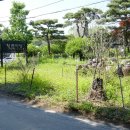 마당너른집 이미지