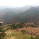현정사 Daum카페