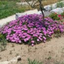 원룸식민박 이미지