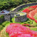 고창읍성
매표소 앞 이미지