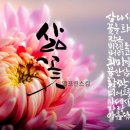 엘유제이 이미지