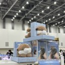 프루븐 | 이웃집수달 굿즈 수달인형 직소퍼즐 후기 (feat. 2026 1월 밀림페어)