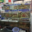 칸 | 베트남 푸꾸옥 북부 그랜드월드 맛집 마담 칸 솔직후기