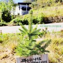 고려 미래 태권도장 이미지