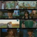 해마루공원로1R-19 | SBS 드라마 그 해 우리는 정주행 후기