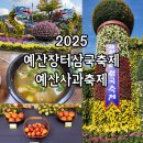 퓨전난타 | 예산장터삼국축제 2025 예산사과축제 방문 후기 가수 정보