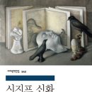 다솔향 이미지