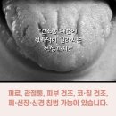 망마로 이미지