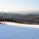 알펜시아리조트 이미지