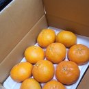 정희농장 이미지