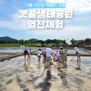 시흥 갯골생태공원 아이와 염전체험 후기 준비물 예약방법 정리