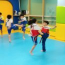 한체대 석사 태권도 이미지