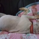 백순농장 이미지