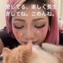 &#39;Netizen Photo News&#39; &#39;2020. 5. 27&#39;~28(수~목) 이미지