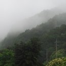 여기가좋겠네 이미지