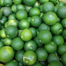 성암영농조합법인 이미지